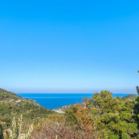 Villa Levanda Panormos  エクステリア 写真